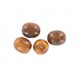 olive marron 16x14 mm