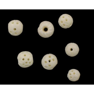 Perforated bone beads 